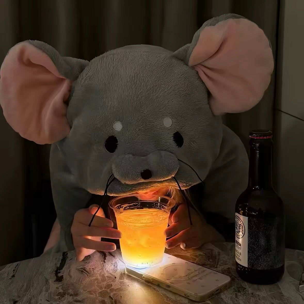 Wearable Rat Blanket