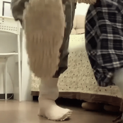 Floor Cleaning Socks