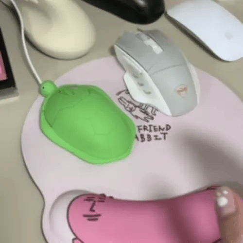 The Turtle Mouse